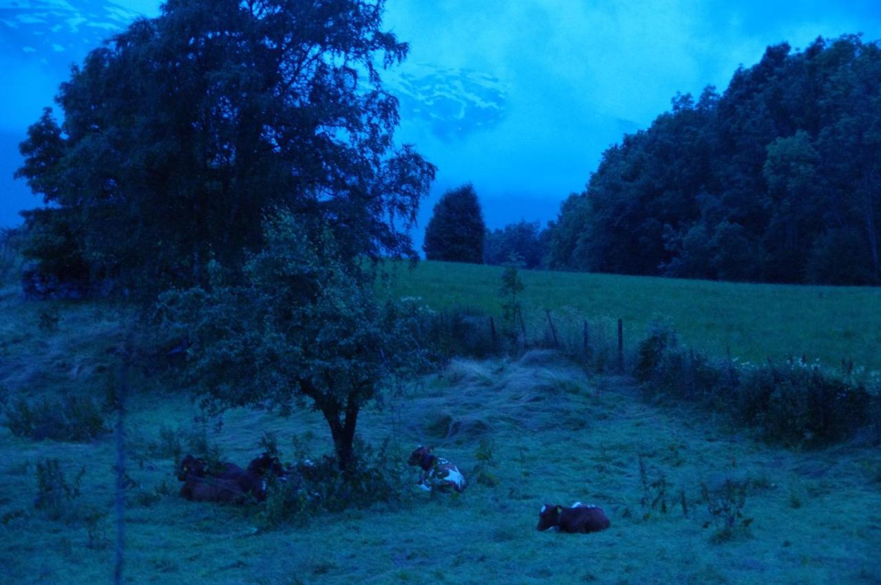 Orheimstunet - Gardsferie For Storfamilien Der Ogsa Hunden Er Velkommen Starheim Bagian luar foto